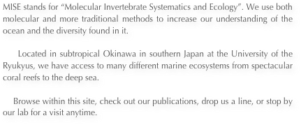 MISE stands for “Molecular Invertebrate Systematics and Ecology”. We use both molecular and more traditional methods to increase our understanding of the ocean and the diversity found in it.

    Located in subtropical Okinawa in southern Japan at the University of the Ryukyus, we have access to many different marine ecosystems from spectacular coral reefs to the deep sea. 

    Browse within this site, check out our publications, drop us a line, or stop by our lab for a visit anytime.